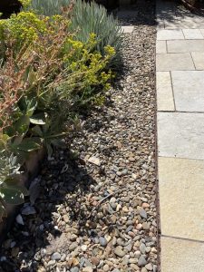 Defensible Space Landscaping - Tree Services Santa Rosa